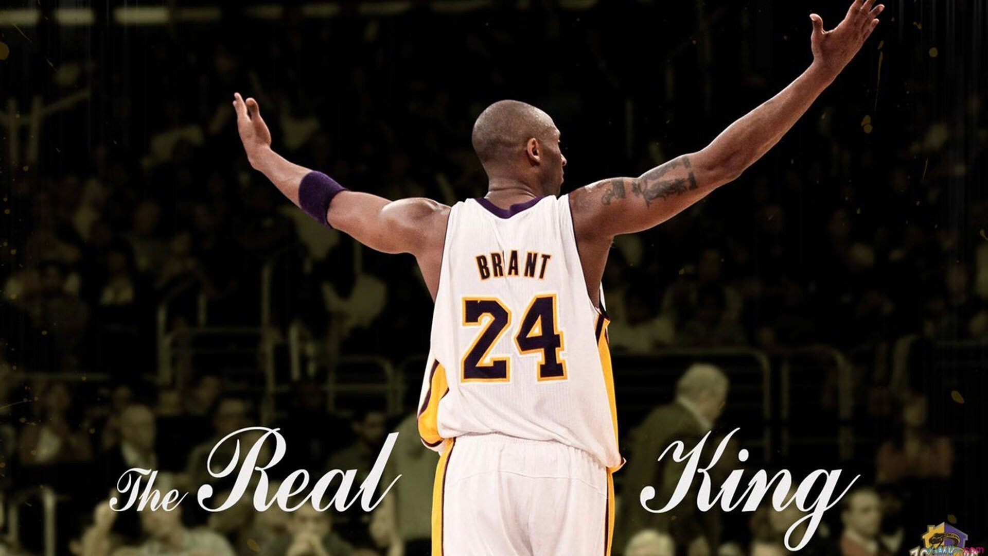 NBA球队品牌建设与粉丝忠诚培养,nba的球队有哪些logo