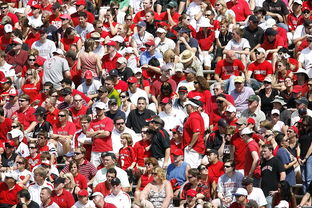 爱游戏体育app-体育赛事观众行为特征与管理对策，观众对体育赛事的意义