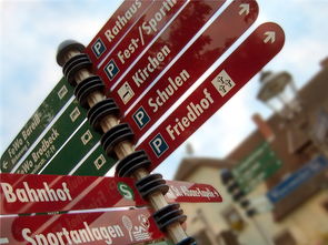 爱游戏-高校运动损伤防控技术研究与推广，运动损伤防护培训班